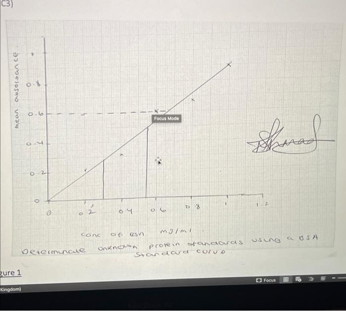 Solved please can you write or give me points to say in the | Chegg.com
