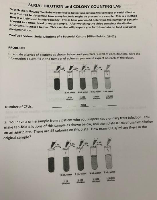 Solved SERIAL DILUTION and COLONY COUNTING LAB Watch the