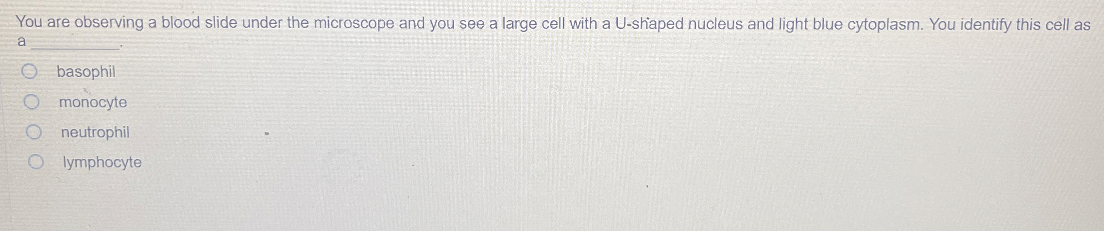 You are observing a blood slide under the microscope | Chegg.com