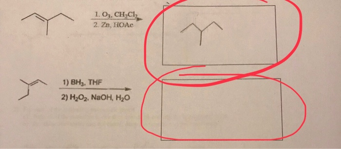 Solved 1 O3 Chcl 2 Zn Hoac 1 Bh3 Thf 2 H202 Naoh