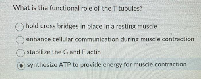 What is the functional role of the T tubules?
hold cross bridges in place in a resting muscle
enhance cellular communication 