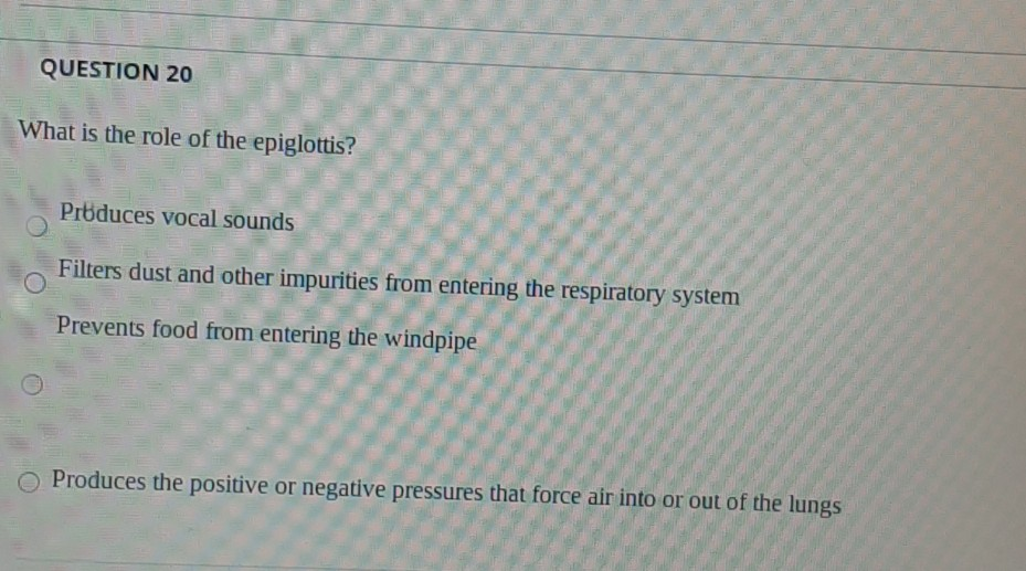 Solved QUESTION 4 Which of the molecules listed below are | Chegg.com