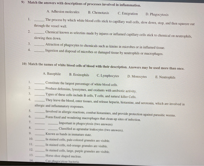 Solved 9) Match the answers with descriptions of processes | Chegg.com