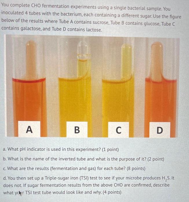 Solved You complete CHO fermentation experiments using a | Chegg.com