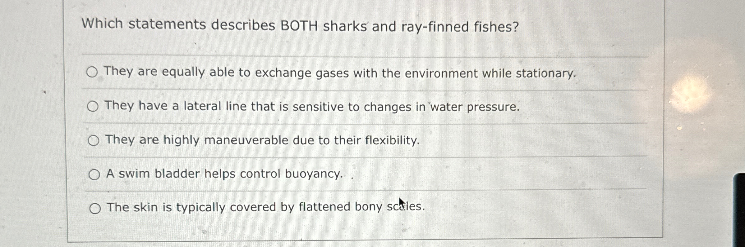 Solved Which statements describes BOTH sharks and rayfinned