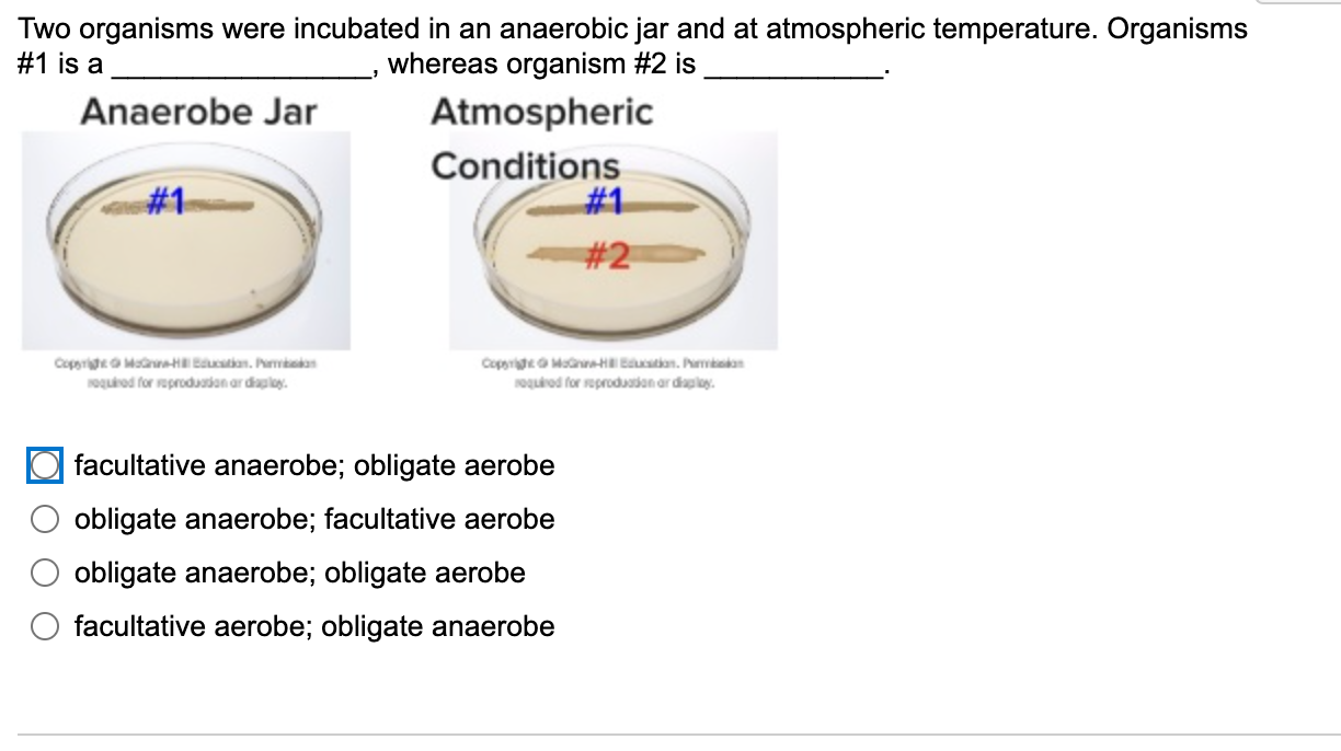 Two organisms were incubated in an anaerobic jar and | Chegg.com