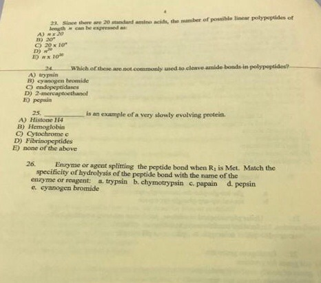 Solved 23. Since there are 30 standardamine acids, the | Chegg.com
