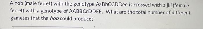 A hob (male ferret) with the genotype AaBbCCDDee is crossed with a jill (female ferret) with a genotype of \( A A B B C C D D