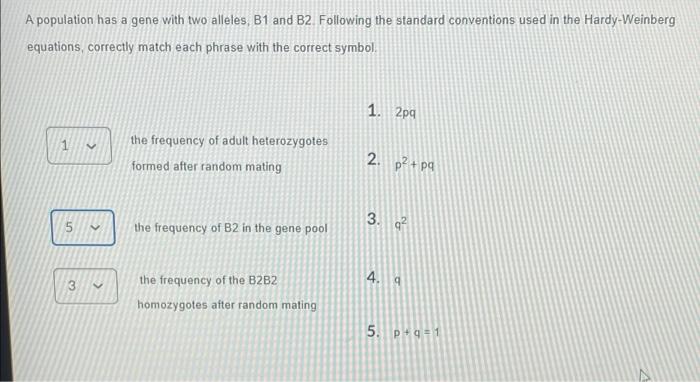 Solved A Population Has A Gene With Two Alleles, B1 And B2. | Chegg.com