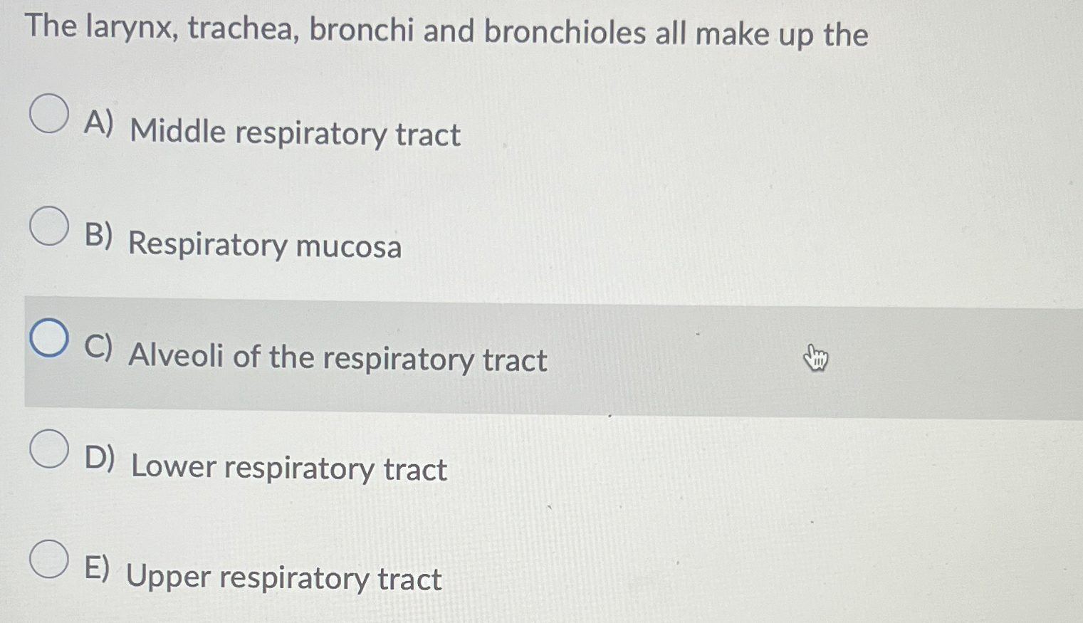 Solved The larynx, trachea, bronchi and bronchioles all make
