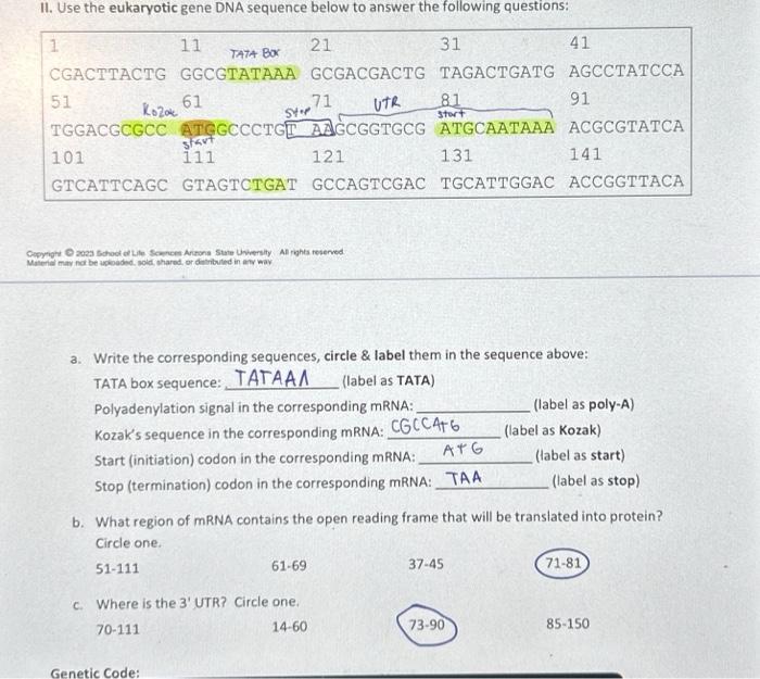 student submitted image, transcription available below