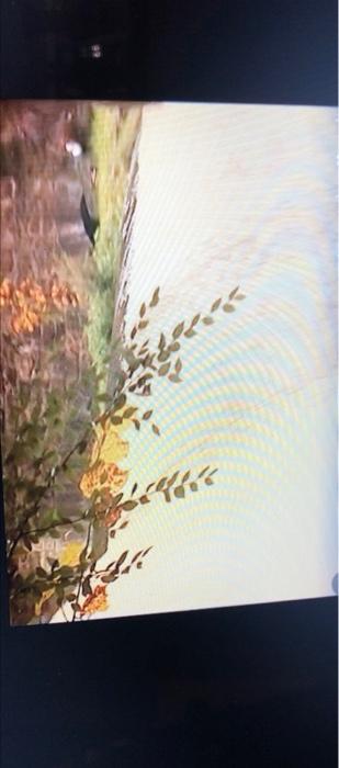 Solved I need help to sketch water surface in the last | Chegg.com