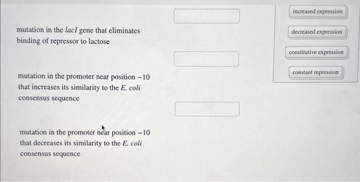 Solved Identify the probable effects of each mutation on | Chegg.com