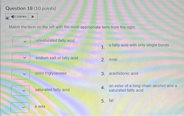 Solved Question 18 (10 points) Listen Match the term on the | Chegg.com
