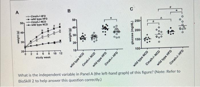 What is the independent variable in Panel A (the left-hand graph) of this figure? (Note: Refer to BioSkill 2 to help answer t