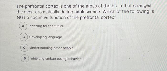 Solved The prefrontal cortex is one of the areas of the | Chegg.com