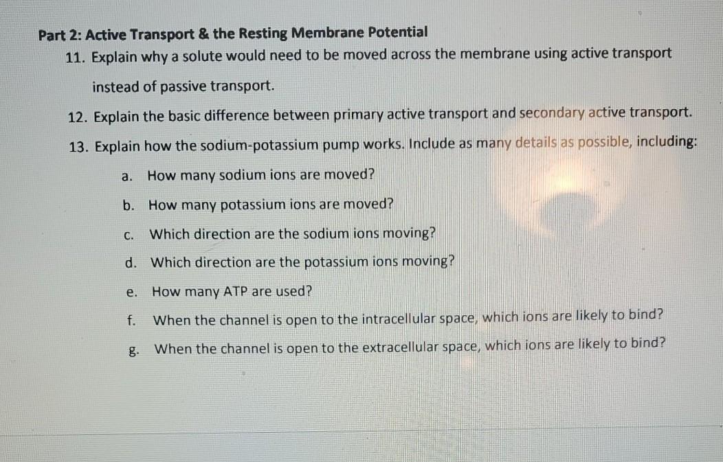 Solved Part 2: Active Transport & the Resting Membrane | Chegg.com