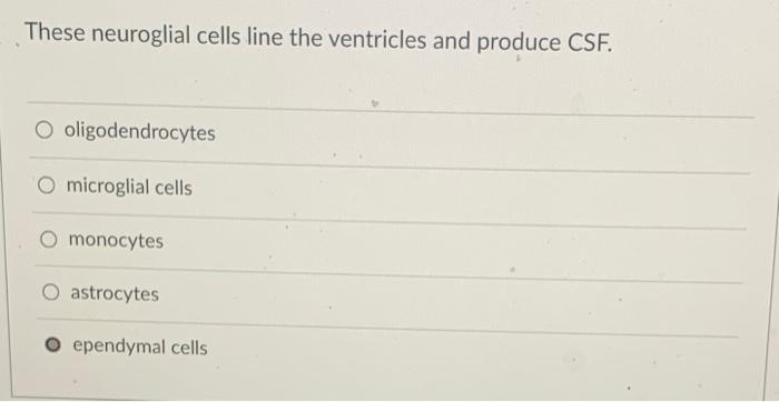 Solved These neuroglial cells form the blood-brain barrier. | Chegg.com