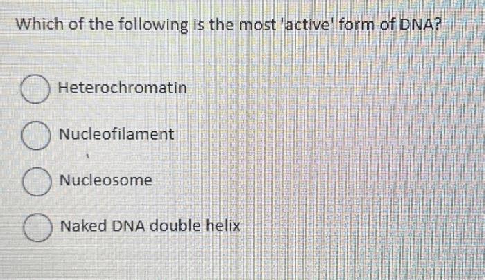 Solved Which Of The Following Is The Most Active Form Of Chegg Com