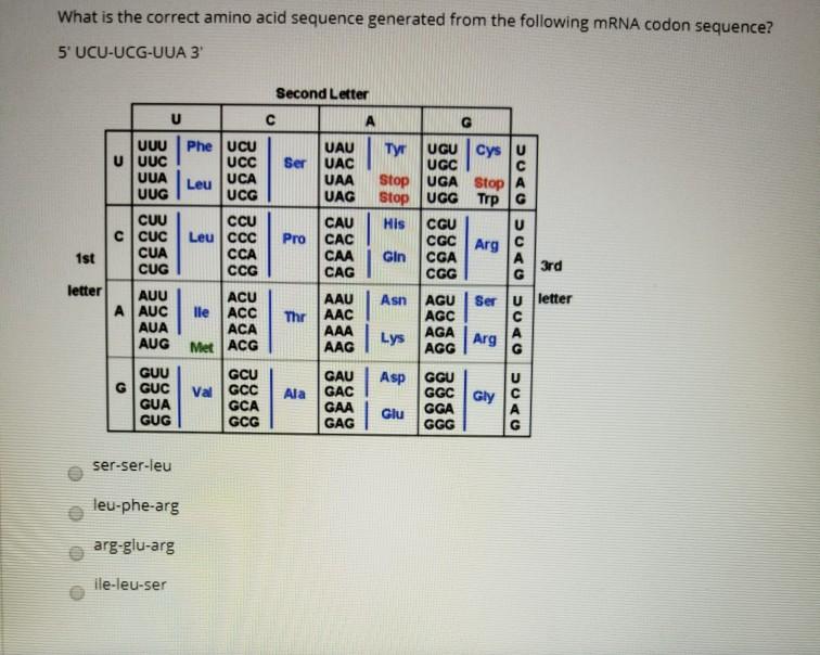 Solved What is the correct amino acid sequence generated