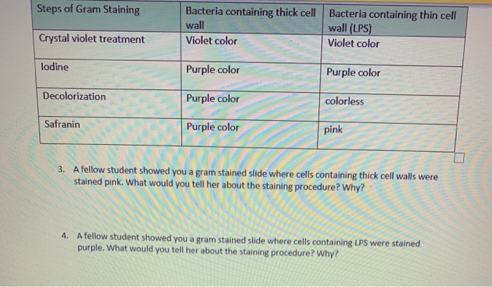 Solved Steps of Gram Staining Bacteria containing thick cell | Chegg.com