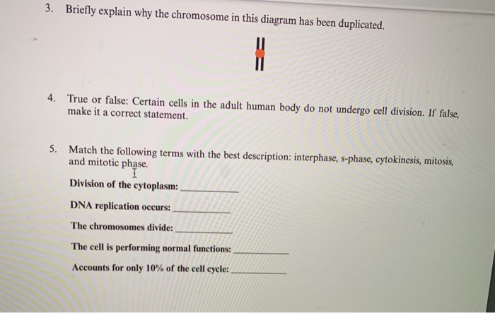 Solved 3. Briefly explain why the chromosome in this diagram | Chegg.com