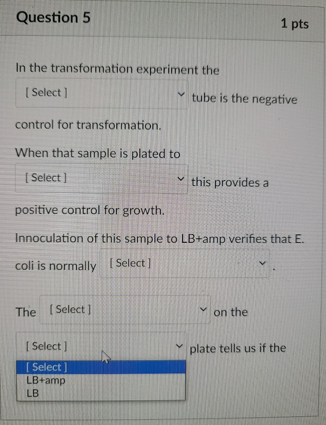 Solved Question 5 1 pts In the transformation experiment the | Chegg.com