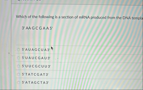 Solved Which of the following is a section of mRNA produced | Chegg.com