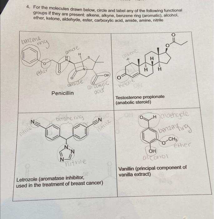 Solved For The Molecules Drawn Below Circle And Label Chegg Com