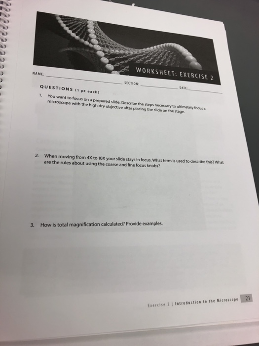 Solved WORKSHEET: EXERCISE 2 NAME SECTION DATE OUESTIONS (1 | Chegg.com