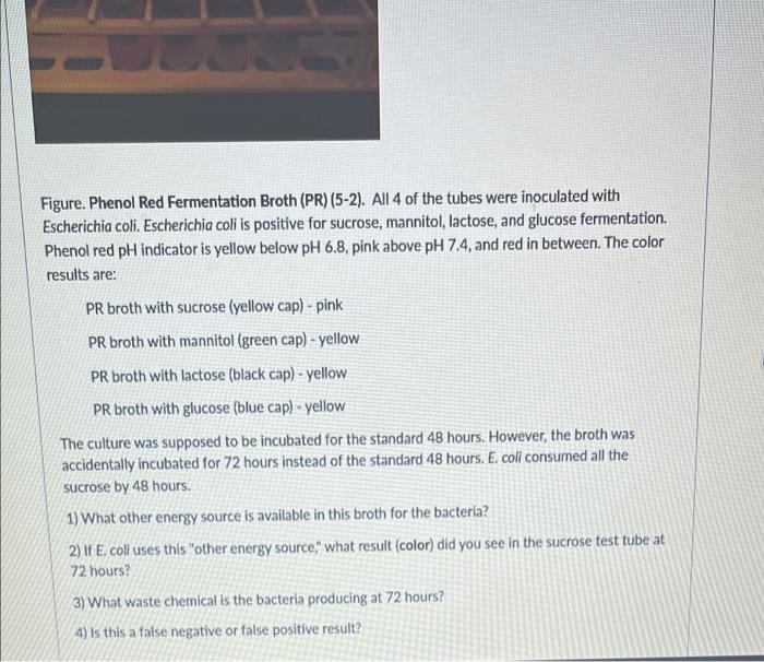 Solved T Figure. Phenol Red Fermentation Broth (PR)