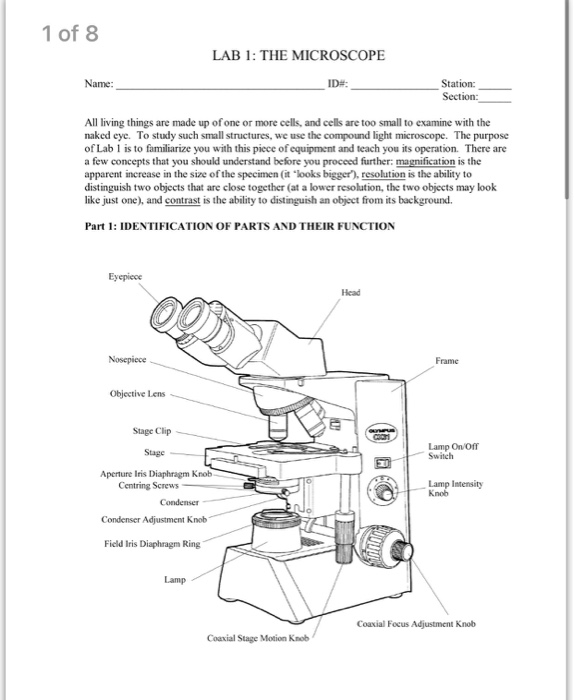 Solved 1 of 8 LAB 1: THE MICROSCOPE Name: ID# Station: | Chegg.com