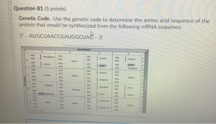 Solved Question 81 5 Points Genetic Code Use The Genetic Chegg Solved Question 81 5 Points Genetic Code Use The Genetic Chegg