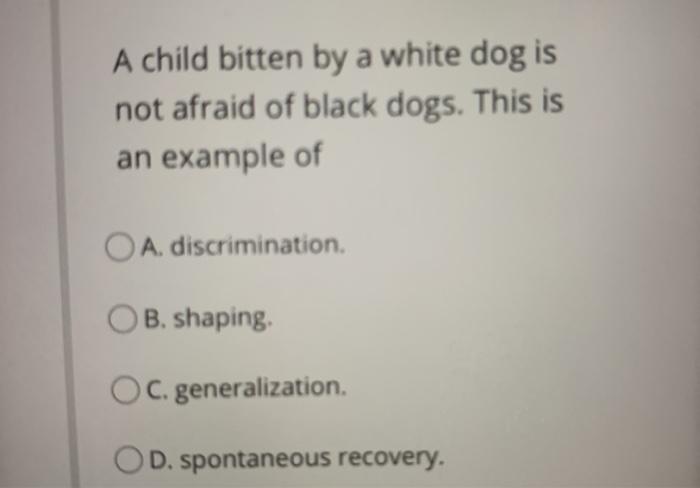 are dogs afraid of the color black