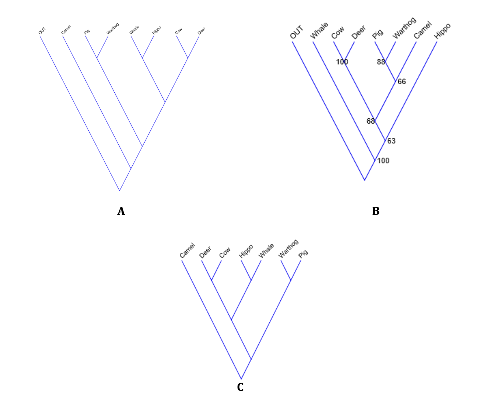 Solved Explain the parsimonious tree indicated in the | Chegg.com