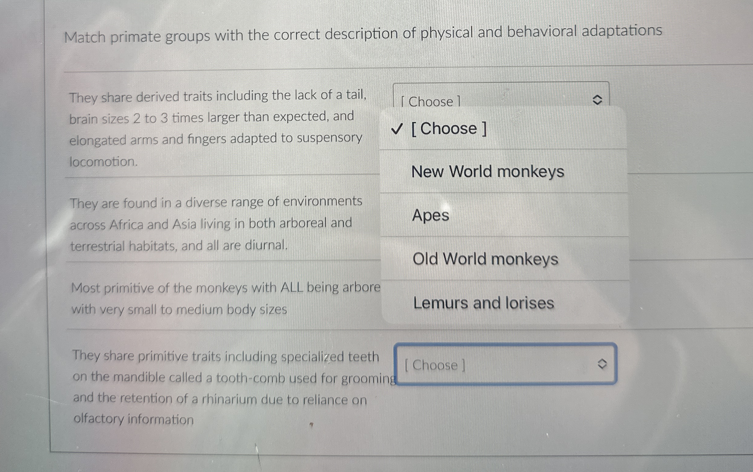 Amazing Primate Teeth: Match The Formula! - z7fdqcy