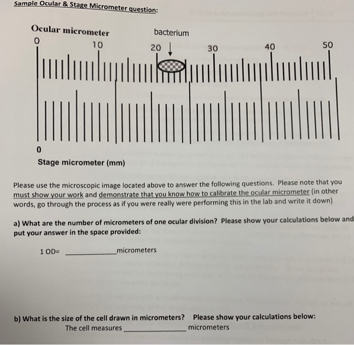 Solved Sample Ocular Stage Micrometer Question Ocular vlr.eng.br