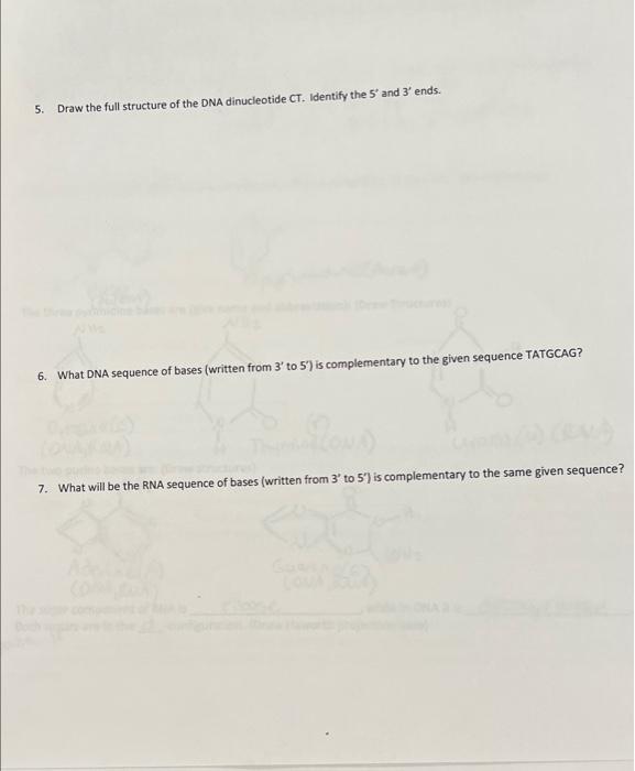 Solved 5. Draw the full structure of the DNA dinucleotide | Chegg.com