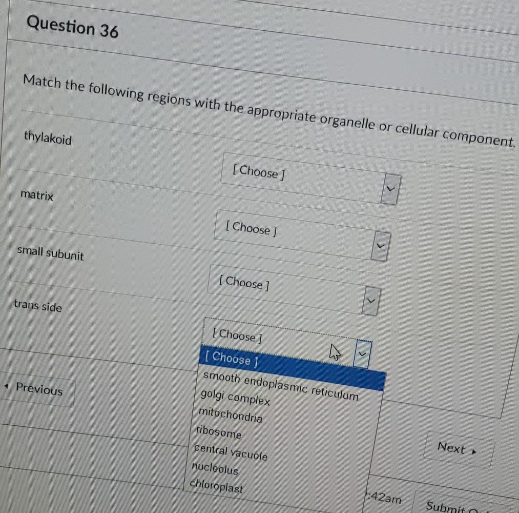 Solved Question 36 Match The Following Regions With The