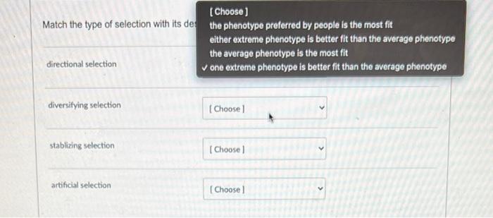 Solved Match the type of selection with its de: directional | Chegg.com