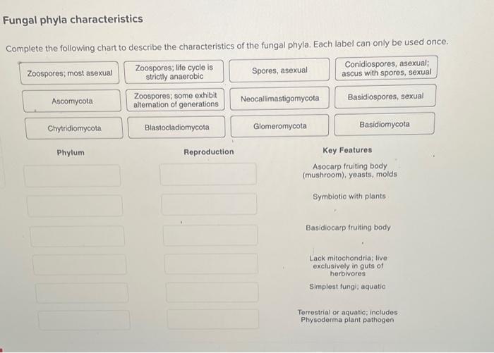 Solved Fungal phyla characteristics Complete the following | Chegg.com