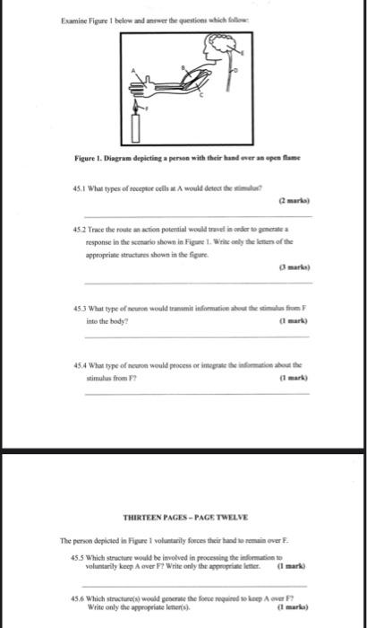 Solved Examine Figure 1 below and answer the questions which | Chegg.com