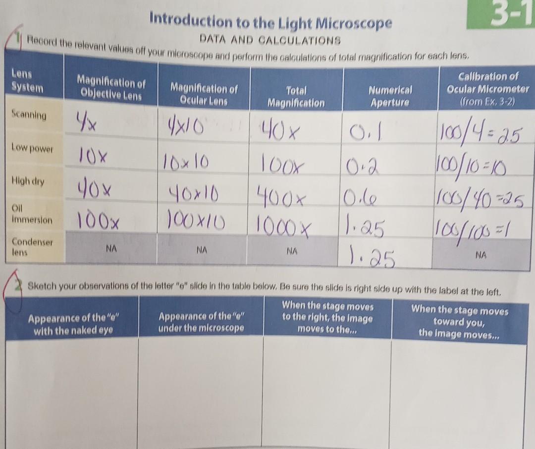 31 Introduction to the Light Microscope Record the