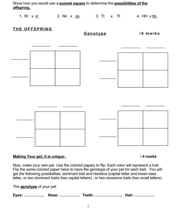 Solved Show how you would use a punnet square to determine | Chegg.com