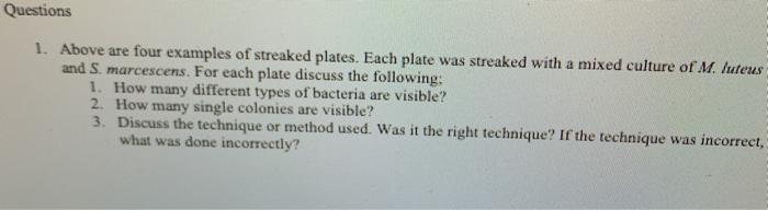 Solved Lab Activity 7 - Preparation of a Pure Culture The | Chegg.com