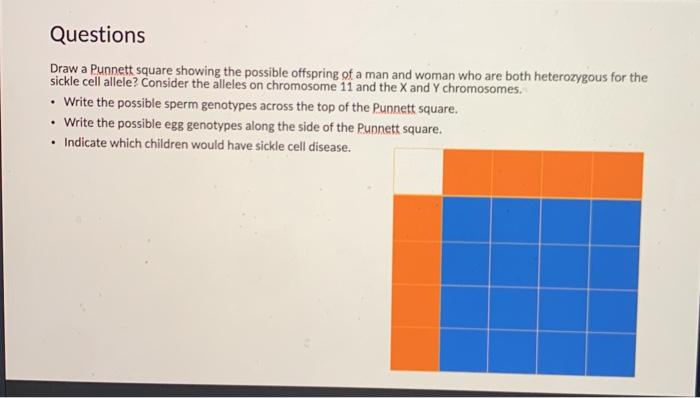 Solved Questions Draw a Punnett square showing the possible | Chegg.com