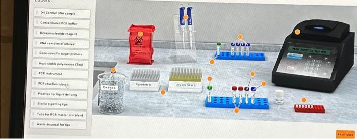 Solved Control DNA Sample Concentrated PCR Buffer Chegg Com   Image