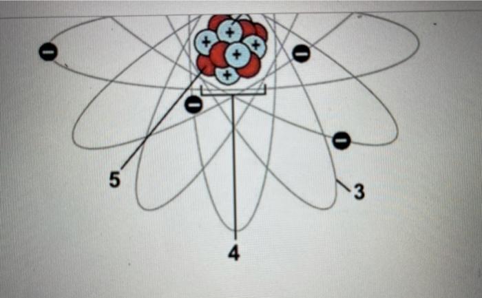 Solved Match the numbered structures in the diagram to the | Chegg.com