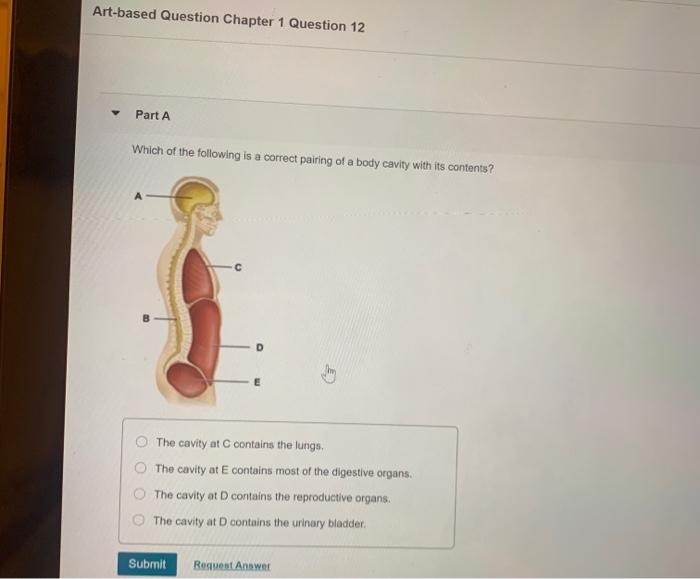 Solved Artbased Question Chapter 1 Question 14 Part A What