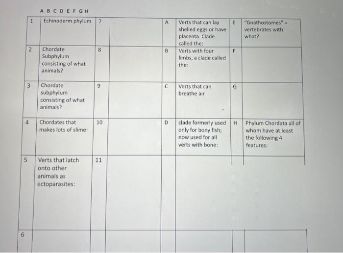 Solved ABCDEFGH 1 Echinoderm phylum 7 A E 
